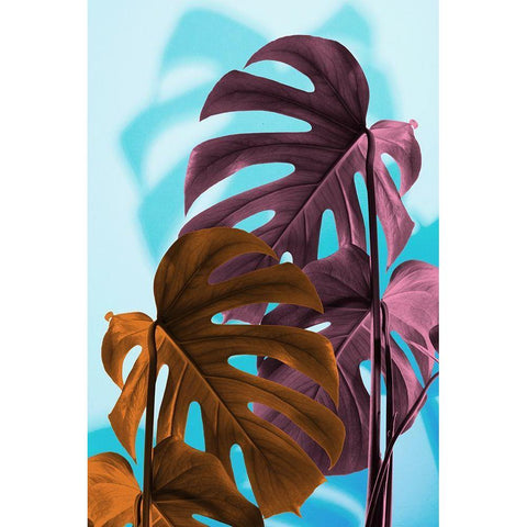 Monstera Blue 04 Black Modern Wood Framed Art Print with Double Matting by 1x Studio III