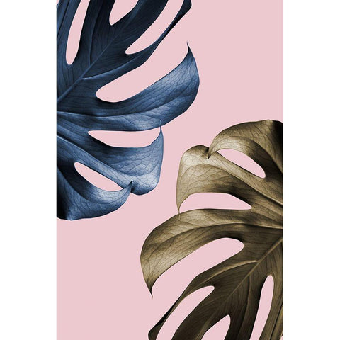 Monstera Pink 11 Black Modern Wood Framed Art Print with Double Matting by 1x Studio III