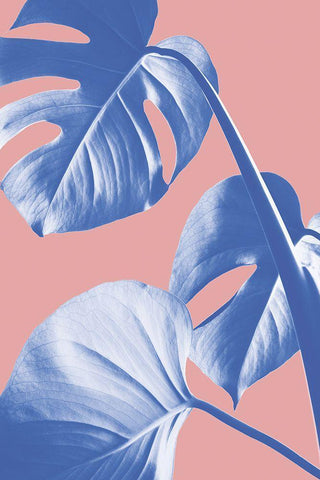 Monstera Purple 05 White Modern Wood Framed Art Print with Double Matting by 1x Studio III