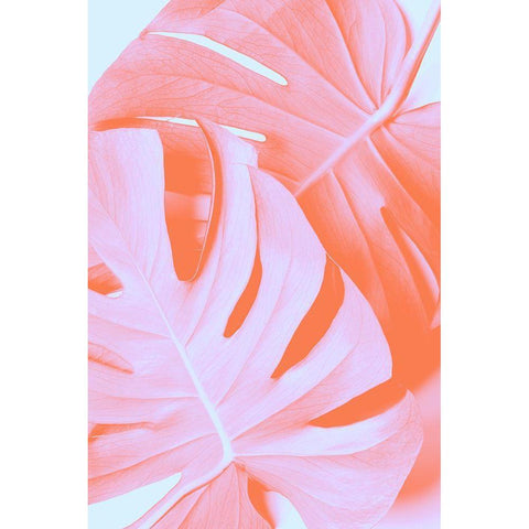Monstera Orange 03 Black Modern Wood Framed Art Print by 1x Studio III