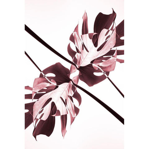 Monstera Kaleidoscope 02 Black Modern Wood Framed Art Print with Double Matting by 1x Studio III