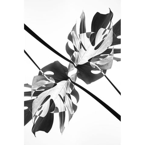 Monstera Kaleidoscope 03 Black Modern Wood Framed Art Print by 1x Studio III