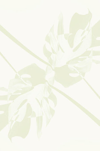 Monstera Kaleidoscope 04 White Modern Wood Framed Art Print with Double Matting by 1x Studio III