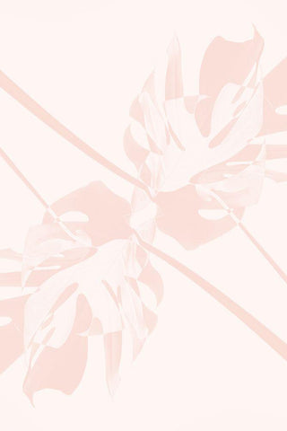 Monstera Kaleidoscope 05 White Modern Wood Framed Art Print with Double Matting by 1x Studio III