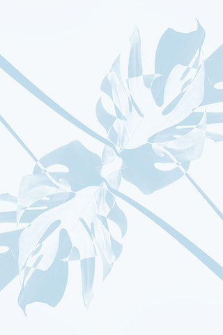 Monstera Kaleidoscope 06 White Modern Wood Framed Art Print with Double Matting by 1x Studio III