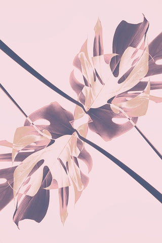 Monstera Kaleidoscope 07 White Modern Wood Framed Art Print with Double Matting by 1x Studio III