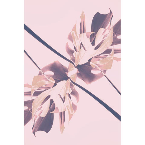 Monstera Kaleidoscope 07 Black Modern Wood Framed Art Print with Double Matting by 1x Studio III