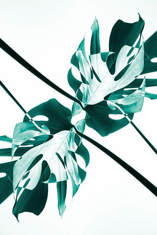 Monstera Kaleidoscope 08 White Modern Wood Framed Art Print with Double Matting by 1x Studio III