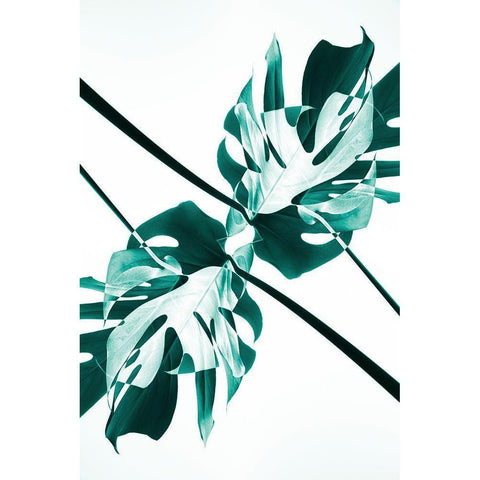 Monstera Kaleidoscope 08 Black Modern Wood Framed Art Print by 1x Studio III