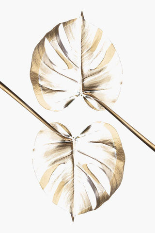 Monstera Gold 10 White Modern Wood Framed Art Print with Double Matting by 1x Studio III