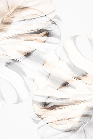 Monstera Gold 11 White Modern Wood Framed Art Print with Double Matting by 1x Studio III