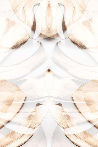 Monstera Gold 12 White Modern Wood Framed Art Print with Double Matting by 1x Studio III