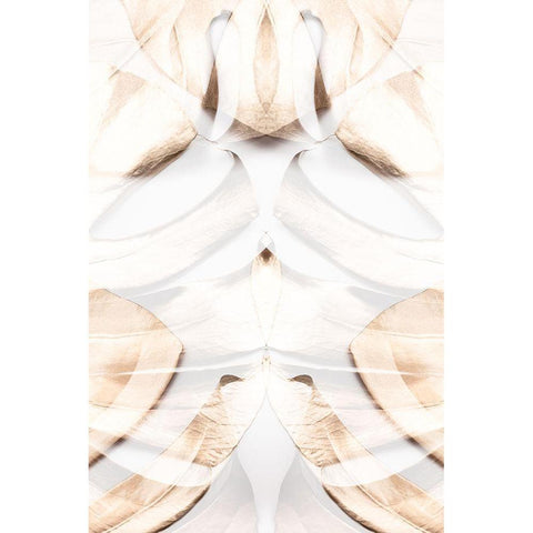 Monstera Gold 12 Black Modern Wood Framed Art Print with Double Matting by 1x Studio III