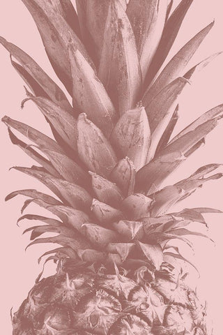 Pineapple Close Up 01 White Modern Wood Framed Art Print with Double Matting by 1x Studio III