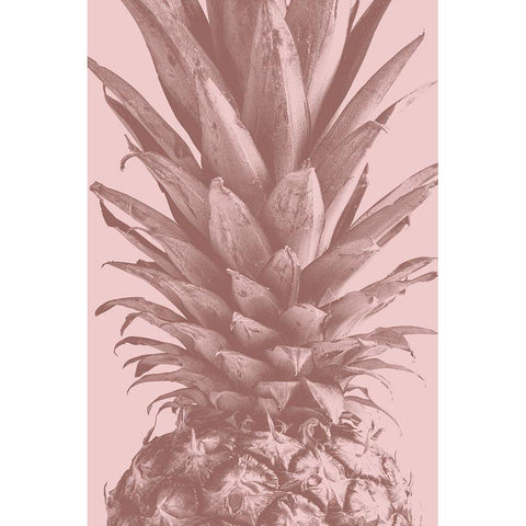 Pineapple Close Up 01 Gold Ornate Wood Framed Art Print with Double Matting by 1x Studio III