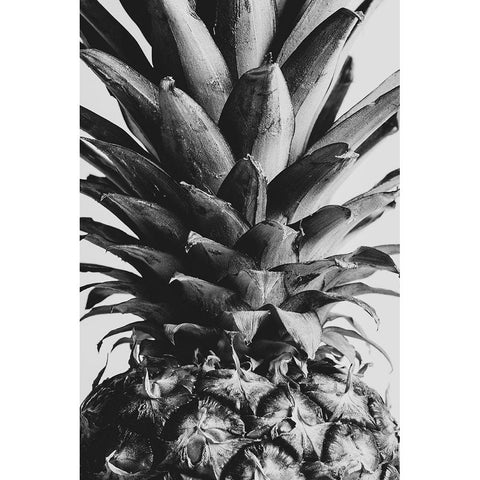 Pineapple Close Up 02 White Modern Wood Framed Art Print by 1x Studio III