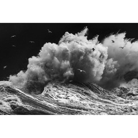 Birds In The Storm (Part 1) Black Modern Wood Framed Art Print with Double Matting by Lazzarotti, Paolo