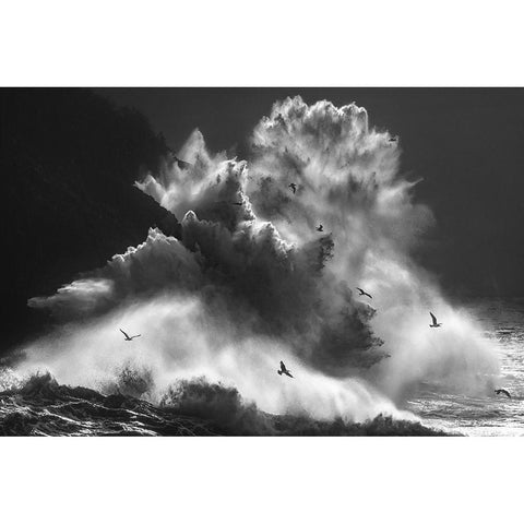 Birds In The Storm (Part 8) Black Modern Wood Framed Art Print with Double Matting by Lazzarotti, Paolo