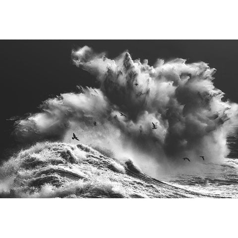 Birds In The Storm (Part 11) Black Modern Wood Framed Art Print by Lazzarotti, Paolo