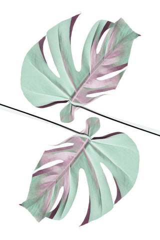 Ying Yang 01 Black Ornate Wood Framed Art Print with Double Matting by 1x Studio III