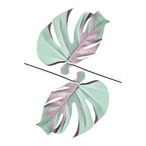 Ying Yang 01 Black Modern Wood Framed Art Print with Double Matting by 1x Studio III