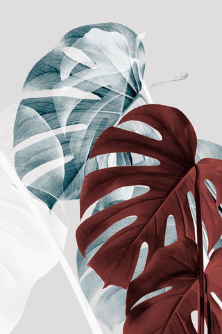 Monstera Creative 18 Black Ornate Wood Framed Art Print with Double Matting by 1x Studio III