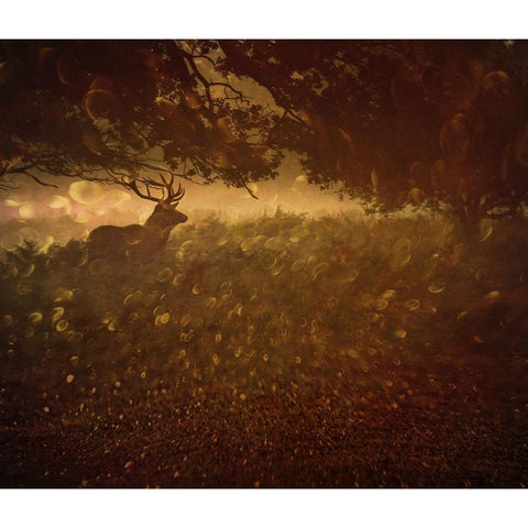 Golden Woods Gold Ornate Wood Framed Art Print with Double Matting by Fabrowski, Robert