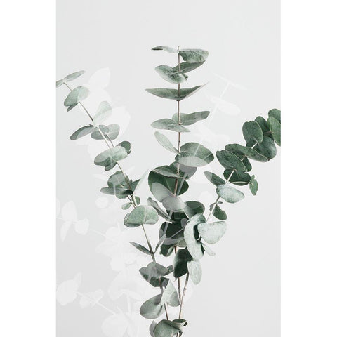 Eucalyptus Creative 01 Gold Ornate Wood Framed Art Print with Double Matting by 1x Studio III