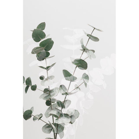 Eucalyptus Creative 02 White Modern Wood Framed Art Print by 1x Studio III
