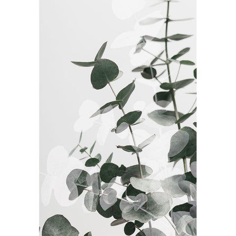 Eucalyptus Creative 03 Gold Ornate Wood Framed Art Print with Double Matting by 1x Studio III