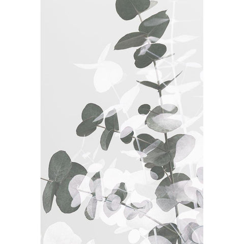 Eucalyptus Creative 09 White Modern Wood Framed Art Print by 1x Studio III