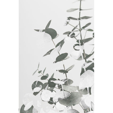 Eucalyptus Creative 10 Gold Ornate Wood Framed Art Print with Double Matting by 1x Studio III