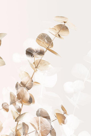 Eucalyptus Creative Gold 02 White Modern Wood Framed Art Print with Double Matting by 1x Studio III