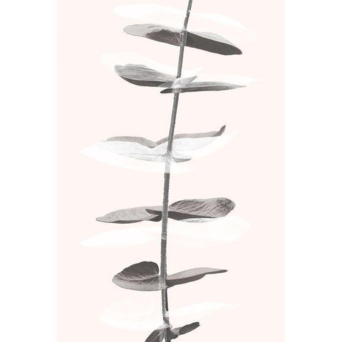 Eucalyptus Creative 11 Black Modern Wood Framed Art Print with Double Matting by 1x Studio III