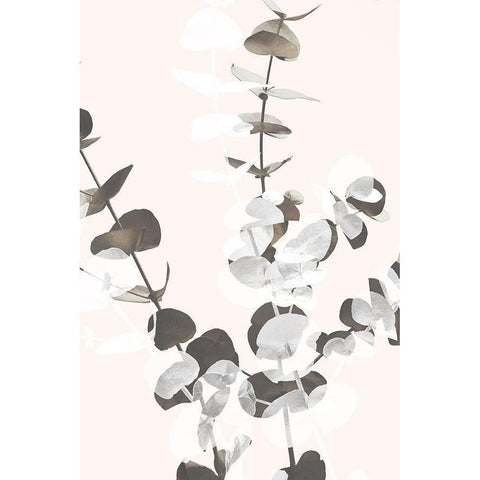 Eucalyptus Creative 12 Black Modern Wood Framed Art Print with Double Matting by 1x Studio III