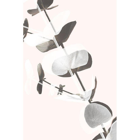 Eucalyptus Creative 13 Black Modern Wood Framed Art Print by 1x Studio III