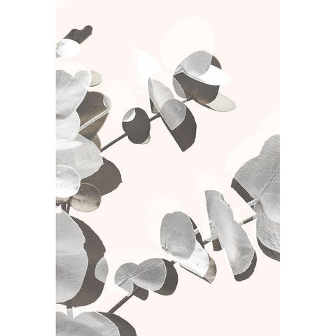 Eucalyptus Creative 14 Black Modern Wood Framed Art Print with Double Matting by 1x Studio III