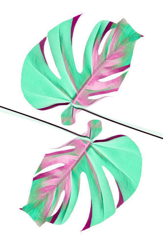 Ying Yang 08 Black Ornate Wood Framed Art Print with Double Matting by 1x Studio III