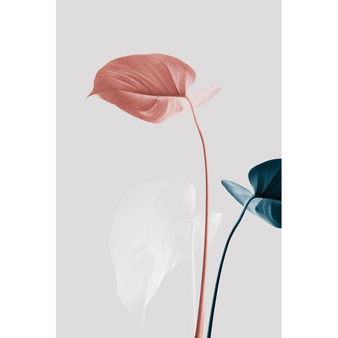 Monstera Creative 25 Black Modern Wood Framed Art Print with Double Matting by 1x Studio III