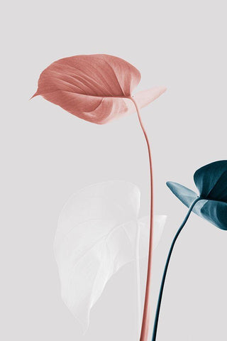 Monstera Creative 25 Black Ornate Wood Framed Art Print with Double Matting by 1x Studio III