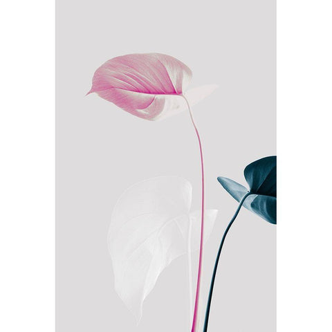 Monstera Creative 24 Black Modern Wood Framed Art Print with Double Matting by 1x Studio III