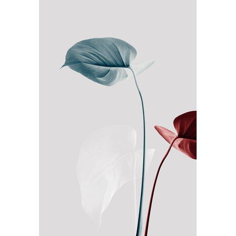 Monstera Creative 23 Black Modern Wood Framed Art Print with Double Matting by 1x Studio III