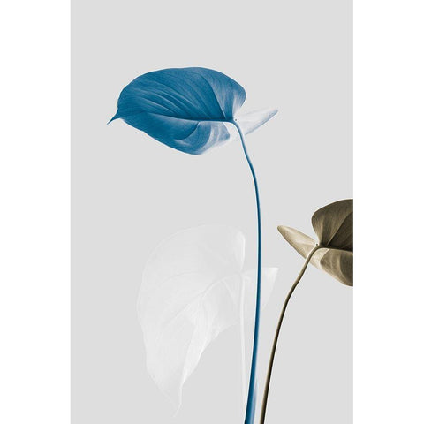 Monstera Creative 19 Black Modern Wood Framed Art Print with Double Matting by 1x Studio III