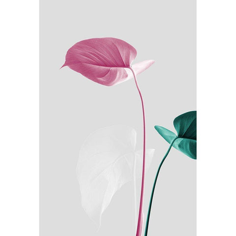 Monstera Creative 18 Gold Ornate Wood Framed Art Print with Double Matting by 1x Studio III