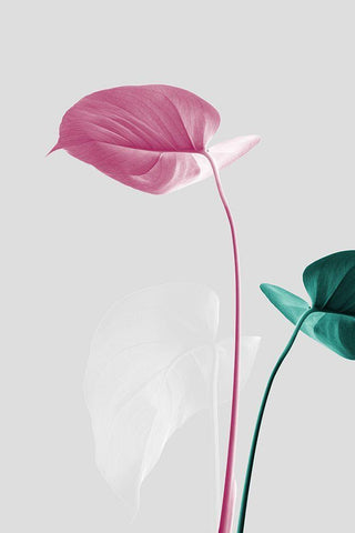 Monstera Creative 18 White Modern Wood Framed Art Print with Double Matting by 1x Studio III