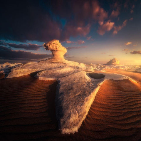 Mothership Black Modern Wood Framed Art Print with Double Matting by George, David