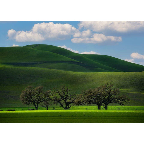 Bliss Black Modern Wood Framed Art Print by Sapkal, Tanmay