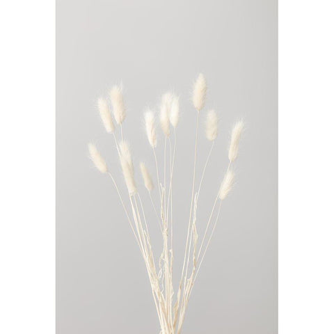 Bunny Grass No 1 Black Modern Wood Framed Art Print by 1x Studio III