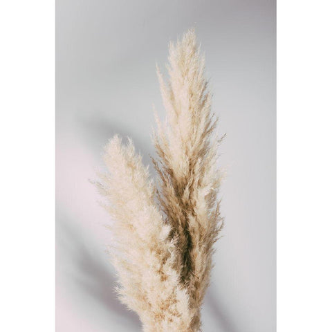 Pampas Grass Grey Black Modern Wood Framed Art Print by 1x Studio III