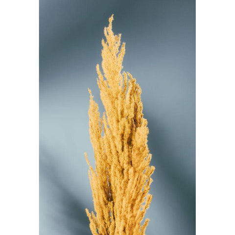 Yellow Grass Blue Gold Ornate Wood Framed Art Print with Double Matting by 1x Studio III